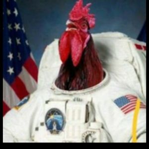 Meet your Posher, Cory